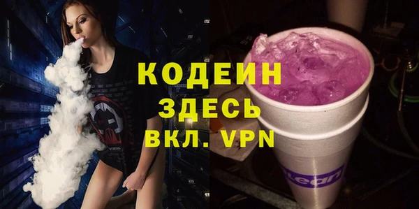хмурый Богородицк