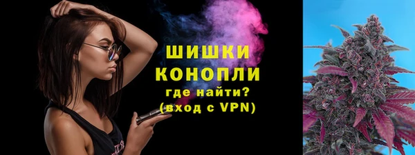 spice Богородск