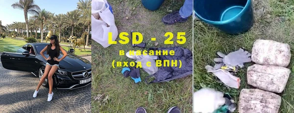 spice Богородск