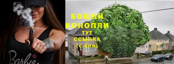 MDMA Болотное