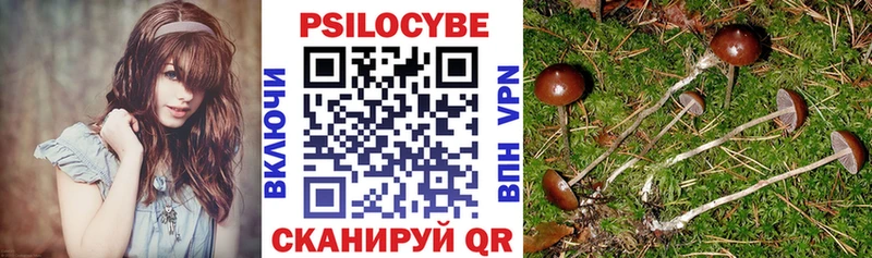 Псилоцибиновые грибы MAGIC MUSHROOMS  Дагестанские Огни 