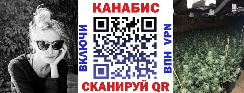 где найти наркотики  Дагестанские Огни  Шишки марихуана конопля 