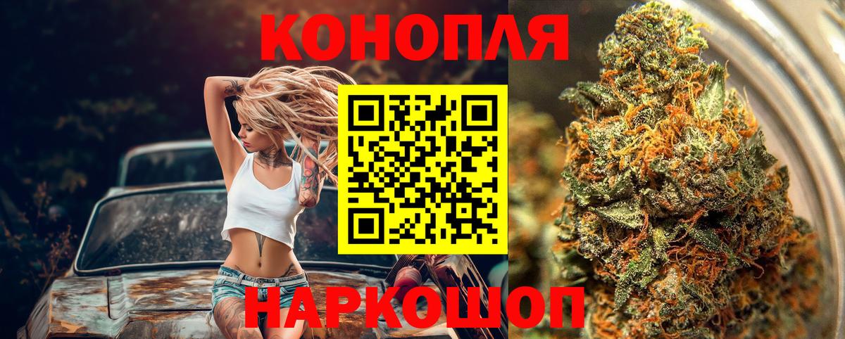 Конопля ГИДРОПОН  Вход с VPN  Конопля White Widow  МАРИХУАНА сатива  Дагестанские Огни 